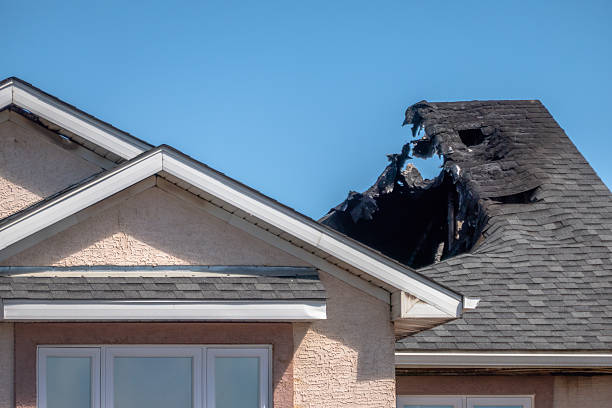 Top rated local Fire Damage Removal specialists in Middletown, MD